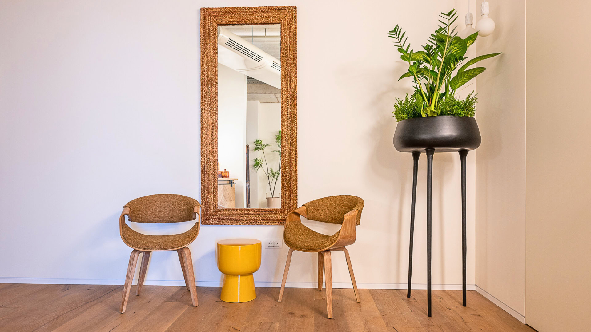 שני כיסאות עץ עם שולחן צד קטן וצהוב ביניהם ניצבים מול הקיר. צמח ירוק גבוה בעציץ שחור על רגליים ניצב מימין, ומראה גדולה ממוסגרת תלויה מאחורי הכיסאות.